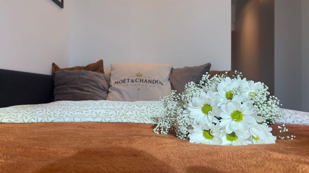 Apartament na godz/doby od 120zl Katowice centrum