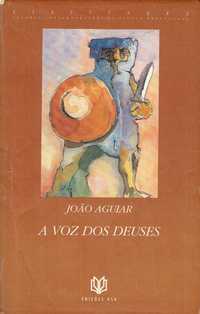 14363

A Voz dos Deuses
de João Aguiar