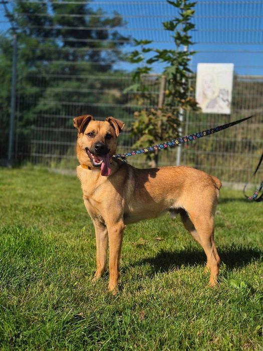 Kapitan czeka, że ktoś go zauważy...