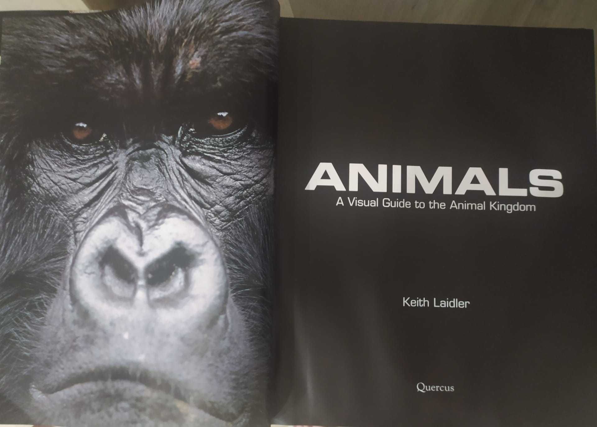 livro grande - ANIMALS