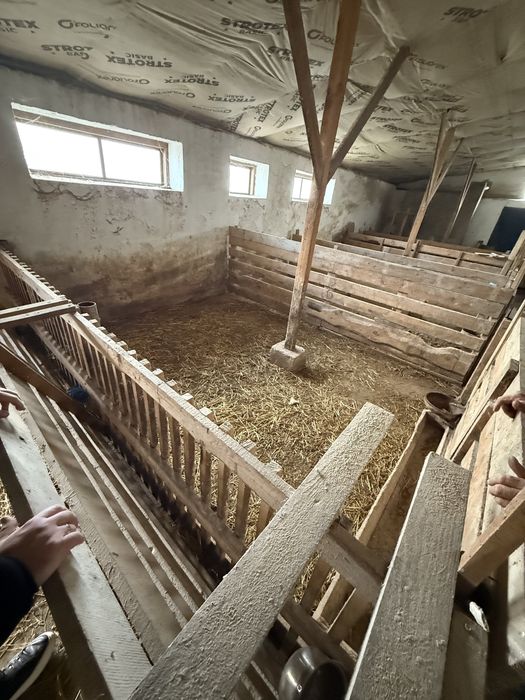 Ферма утеплена з підводом води та земельною ділянкою