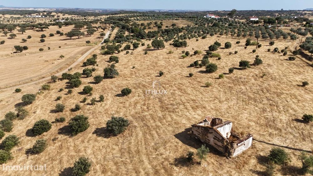 Oportunidade Única no Coração do Alentejo - Monte com Ruína Próximo da