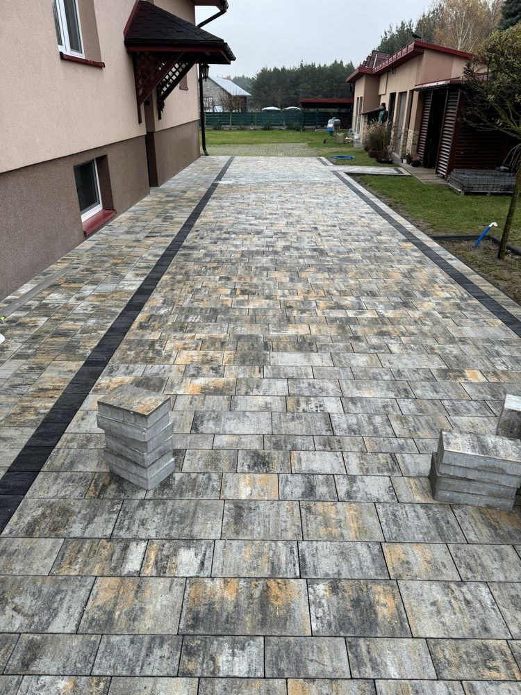 Kostka brukowa Forbet Zeno Parhenon 6 cm muszla od ręki, transport hds
