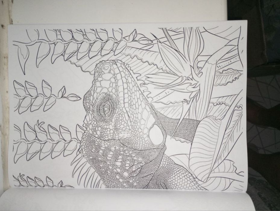 Розмальовки для дорослих