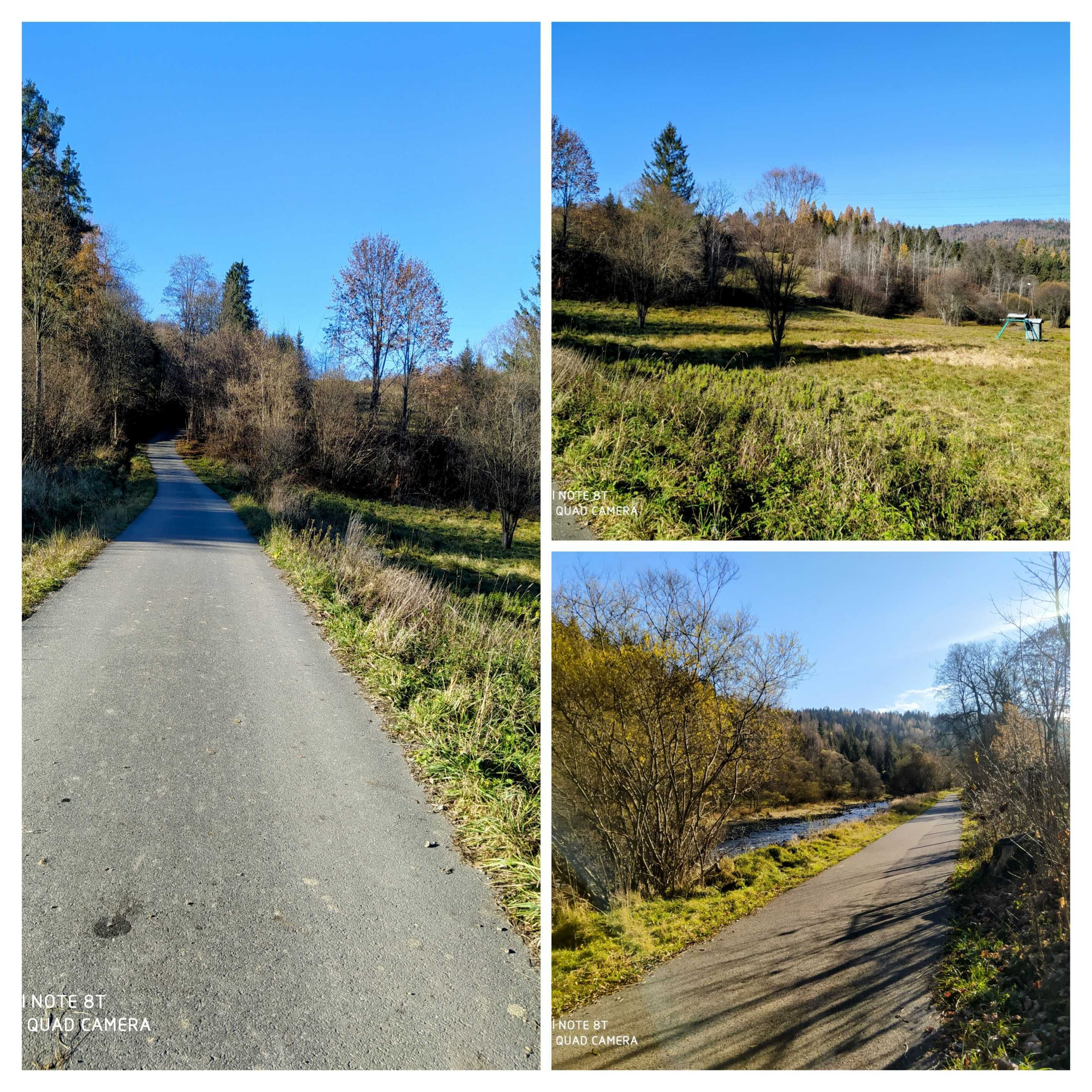 Beskid Żywiecki/ Rajcza/dom wakacyjny/dzieci/pieski