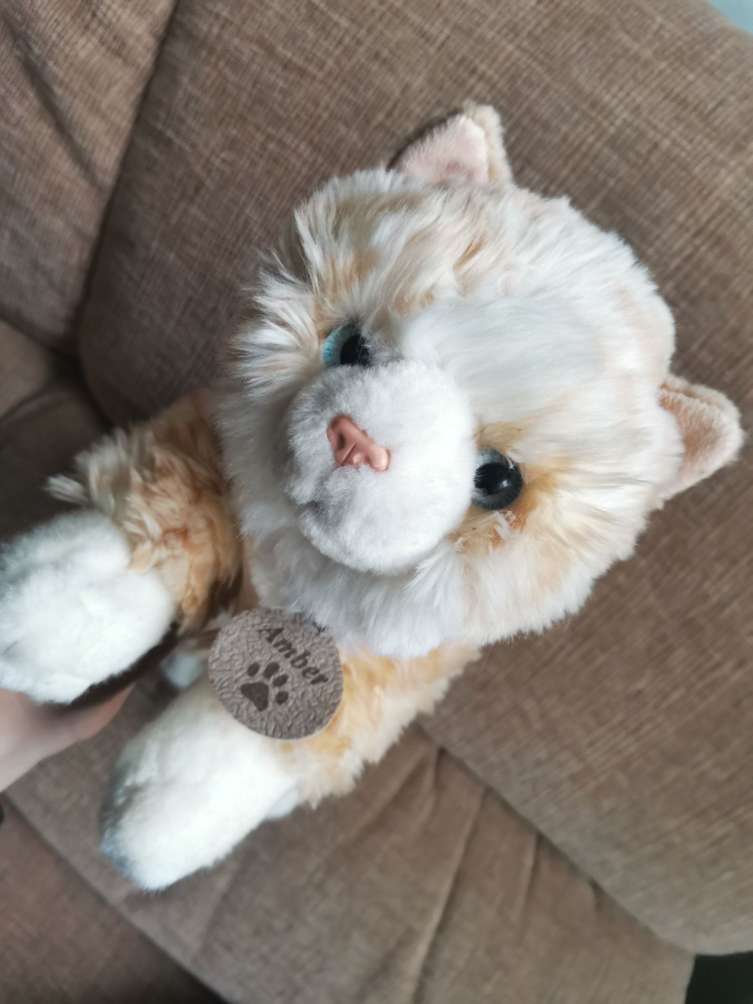 Кошка кицька подарунок до Дня закоханих