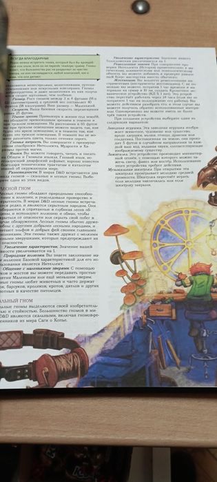 Книга игрока, книга правил, dungeon and dragons, D&D, DnD, на русском