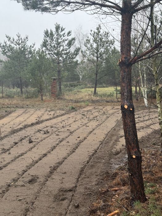 Mulczer Leśny Wgłębny Frezowanie Czyszczenie Działek Wycinka Rębak