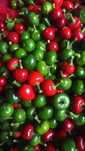 Papryczki Cherry słodkie / Ostre