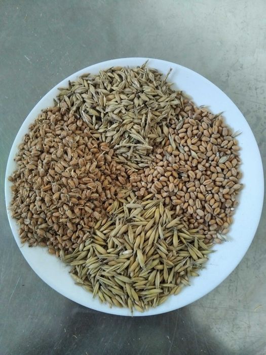 Pasza dla kur kaczek gęsi, mieszanka paczka 25kga z małego gospodarstw