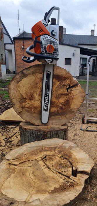 Pilarz , drwal, Arborysta , Wycinka drzew