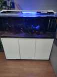 Akwarium 240l 120x40x50 zestaw całość