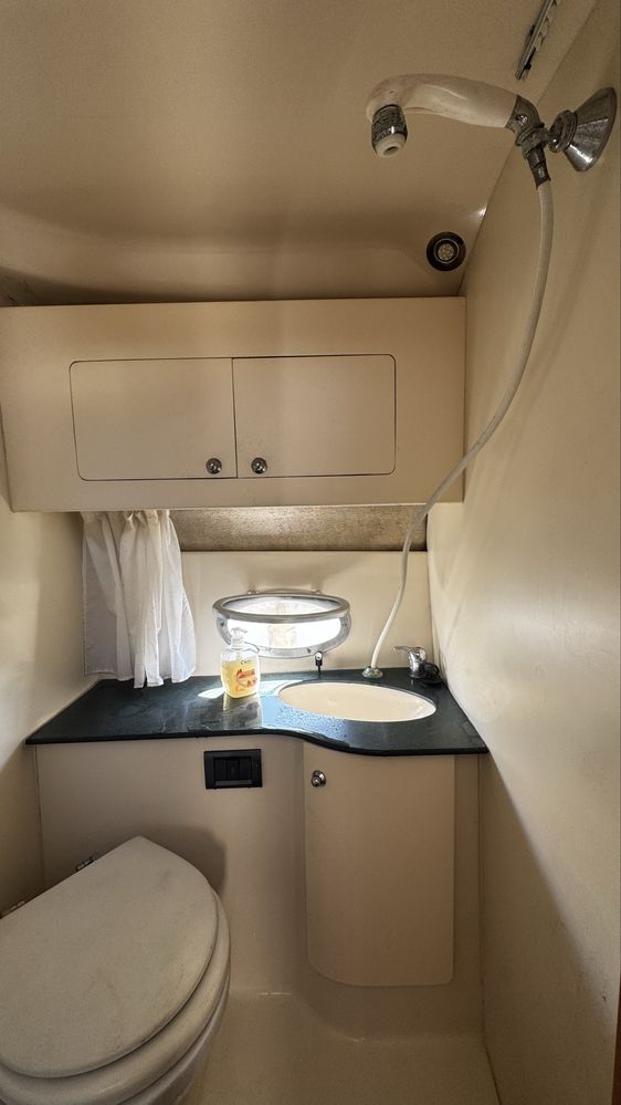 Sessa oyster 25