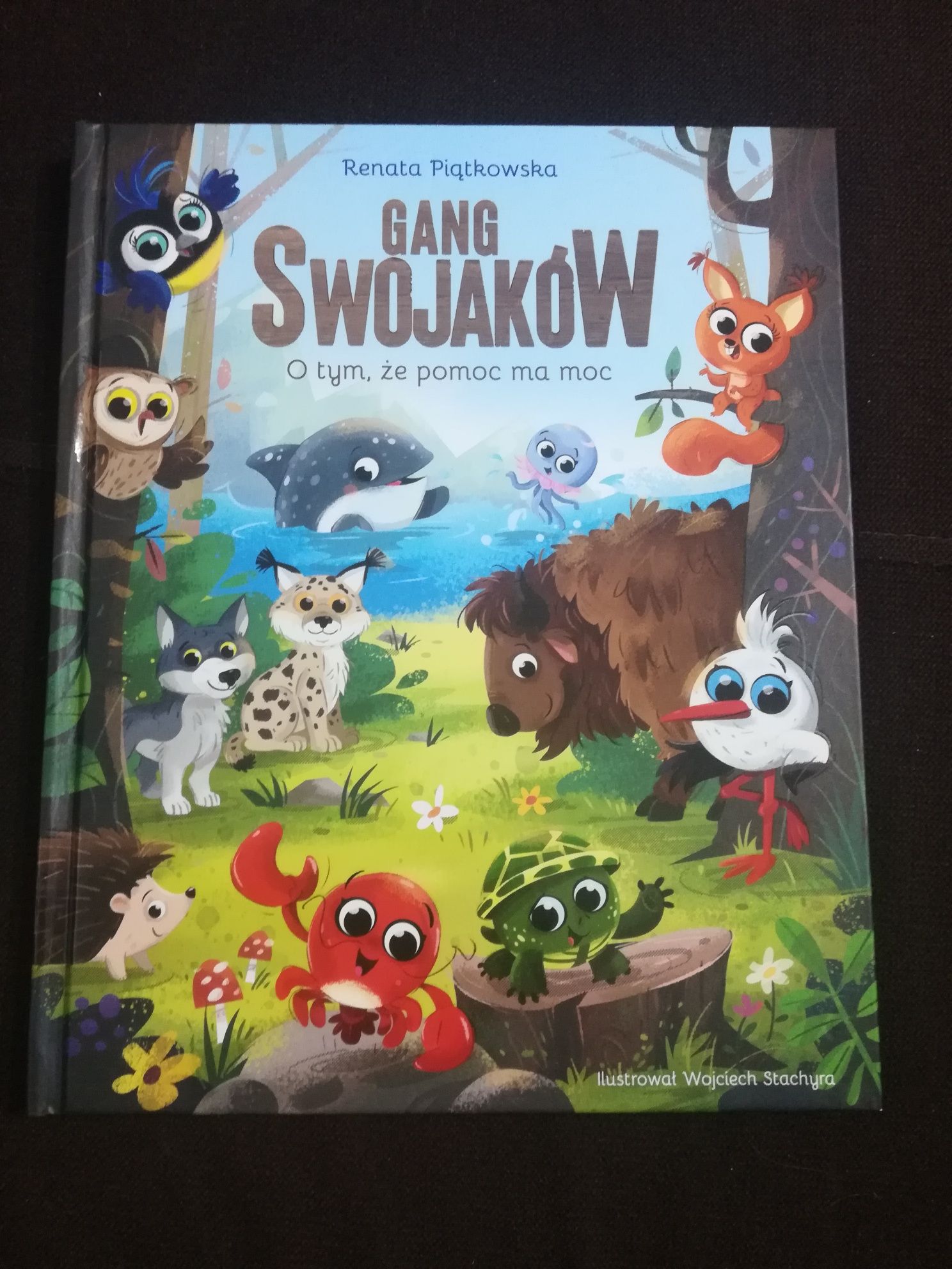 książka Gang Swojaków biedronka