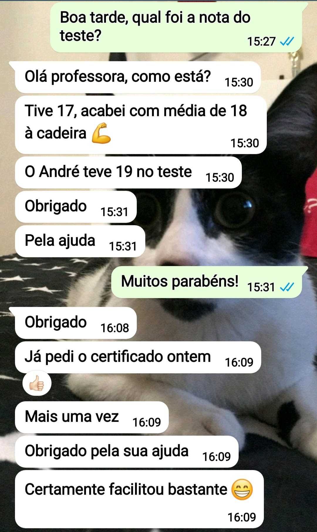 Explicações Matemática e outras disciplinas no Bom Sucesso (Alverca)