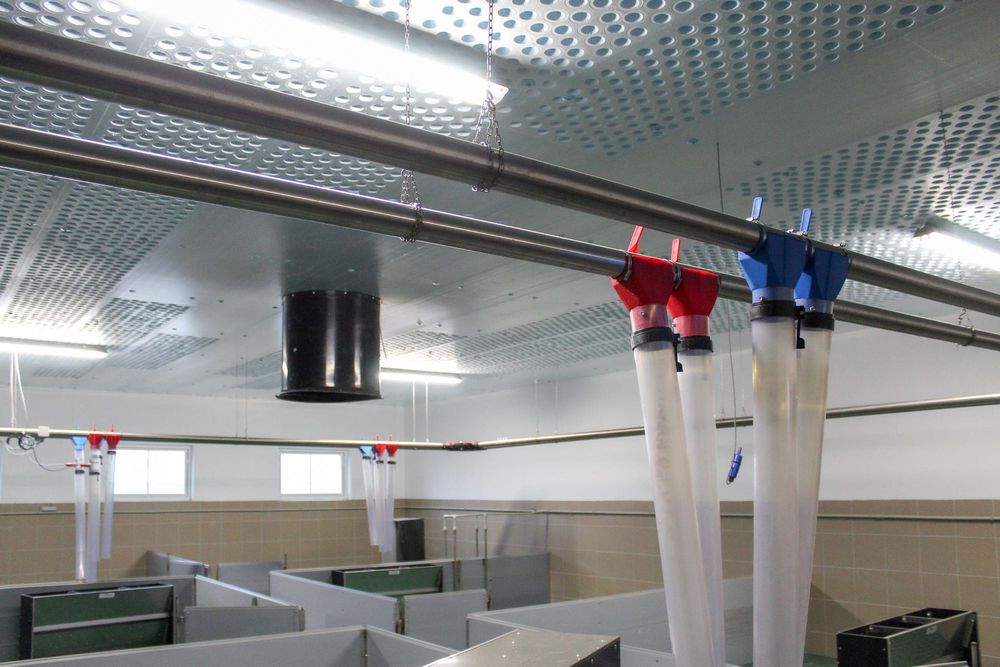 Sufit Wentylacyjny Perforowany Panele Izolacyjne Styrodur XPS AGRO 40