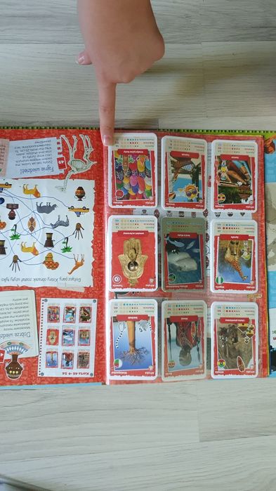 Album kolekcjonerski NETTO