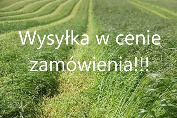 Mieszanka traw koniczyna, tymotka, życica, kostrzewa nasiona paszowe