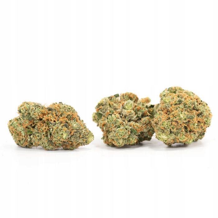 20G Susz konopny CBD Pineapple Haze 0,20% HURT Producent