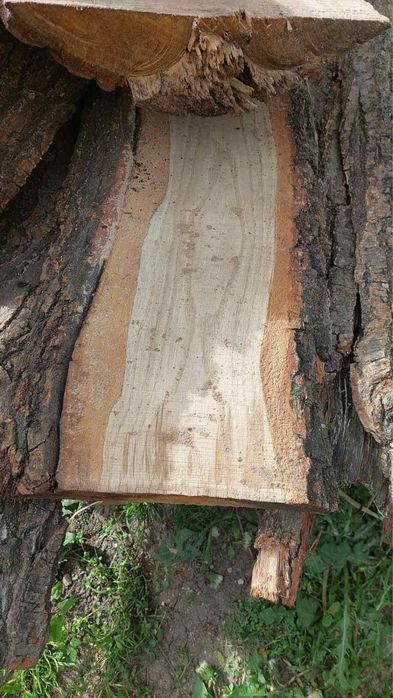 Дубова дошка, не оброблена
