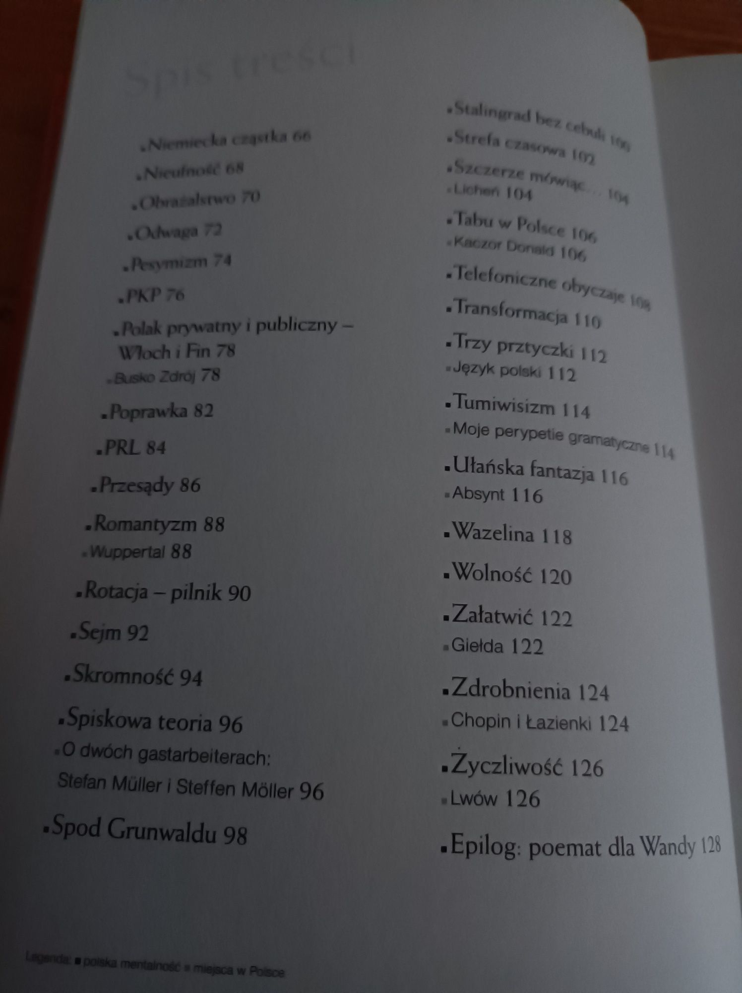 Polska da się lubić Steffen Moller