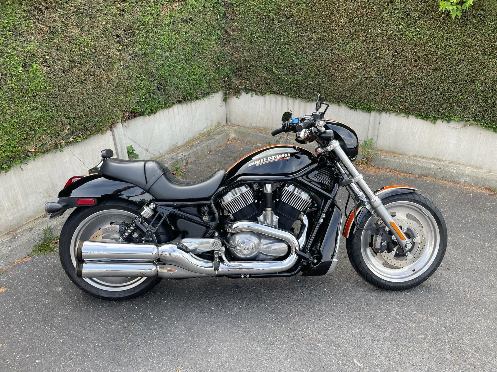 Harley Davidson Night Rod "Harley Racing Paint"