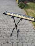 Zestaw keyboard Nektar Impact GX61 statyw Athletic KB-6EX
