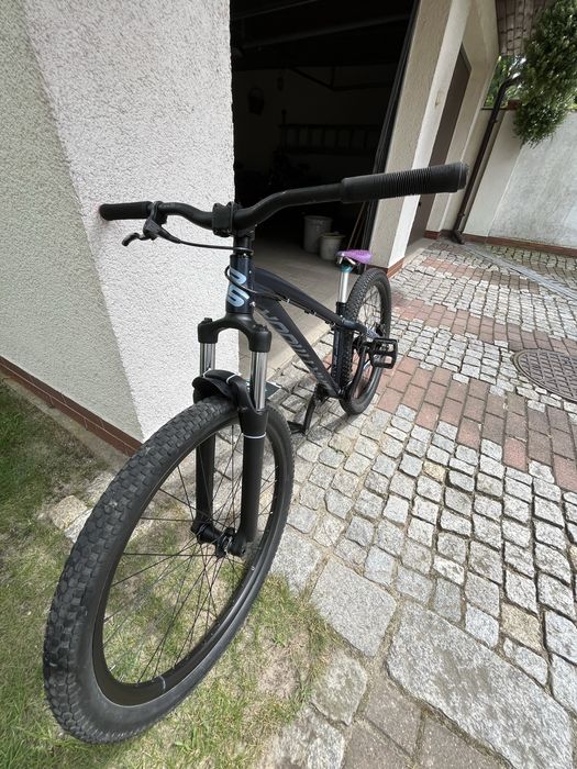 Rower Dartmoor Street Fighter