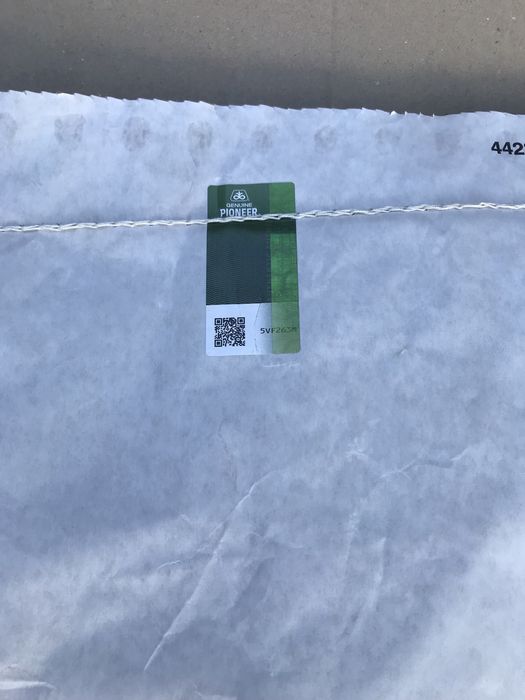 Соняшник. Насіння