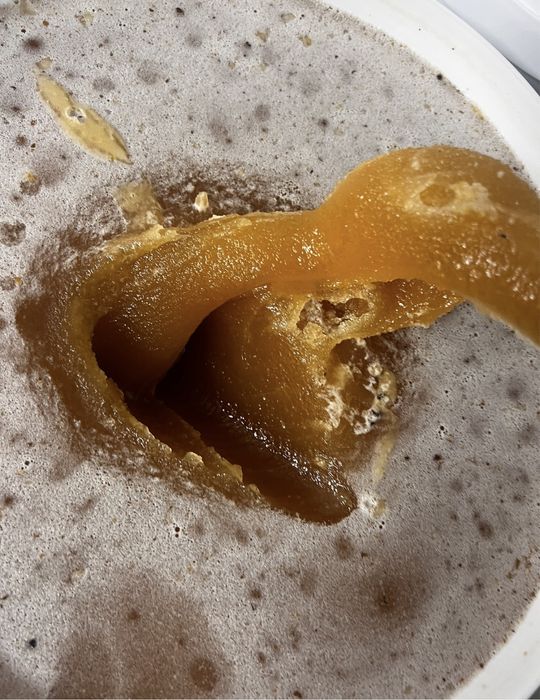 Miód pszczeli wiaderka,pszczoły,matki,pszczele,odkłady pszczele,roje
