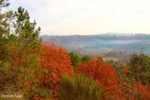 Excelente Propriedade com 5,18 Hectares