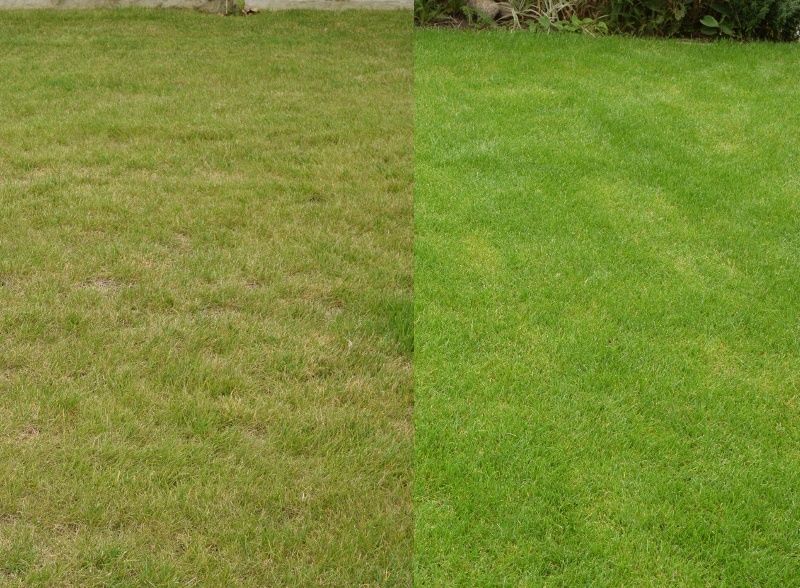Wertykulacja/renowacja trawnika