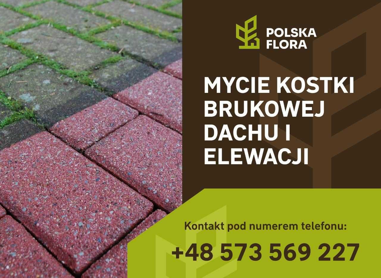 Mycie kostki brukowej, dachu, elewacji