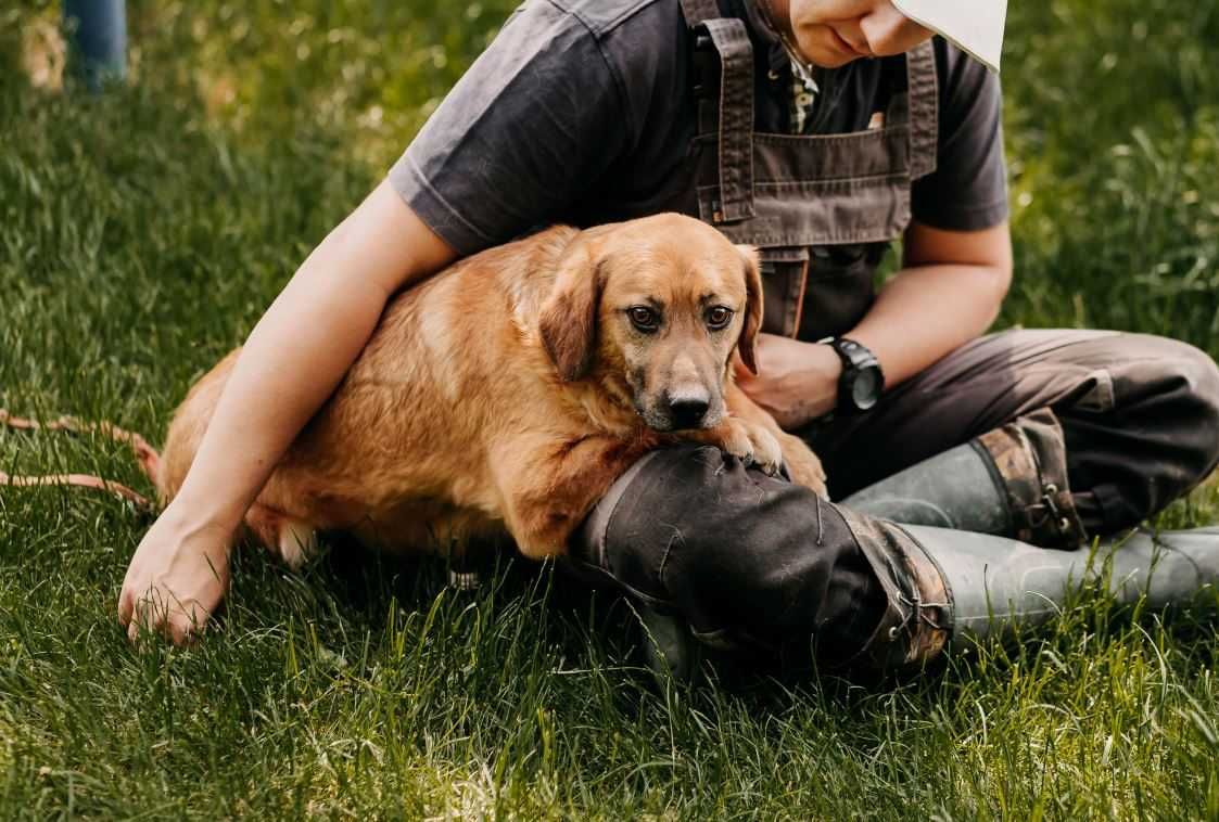 Lekko nieśmiały, młodziutki Taco poleca się do adopcji!!!