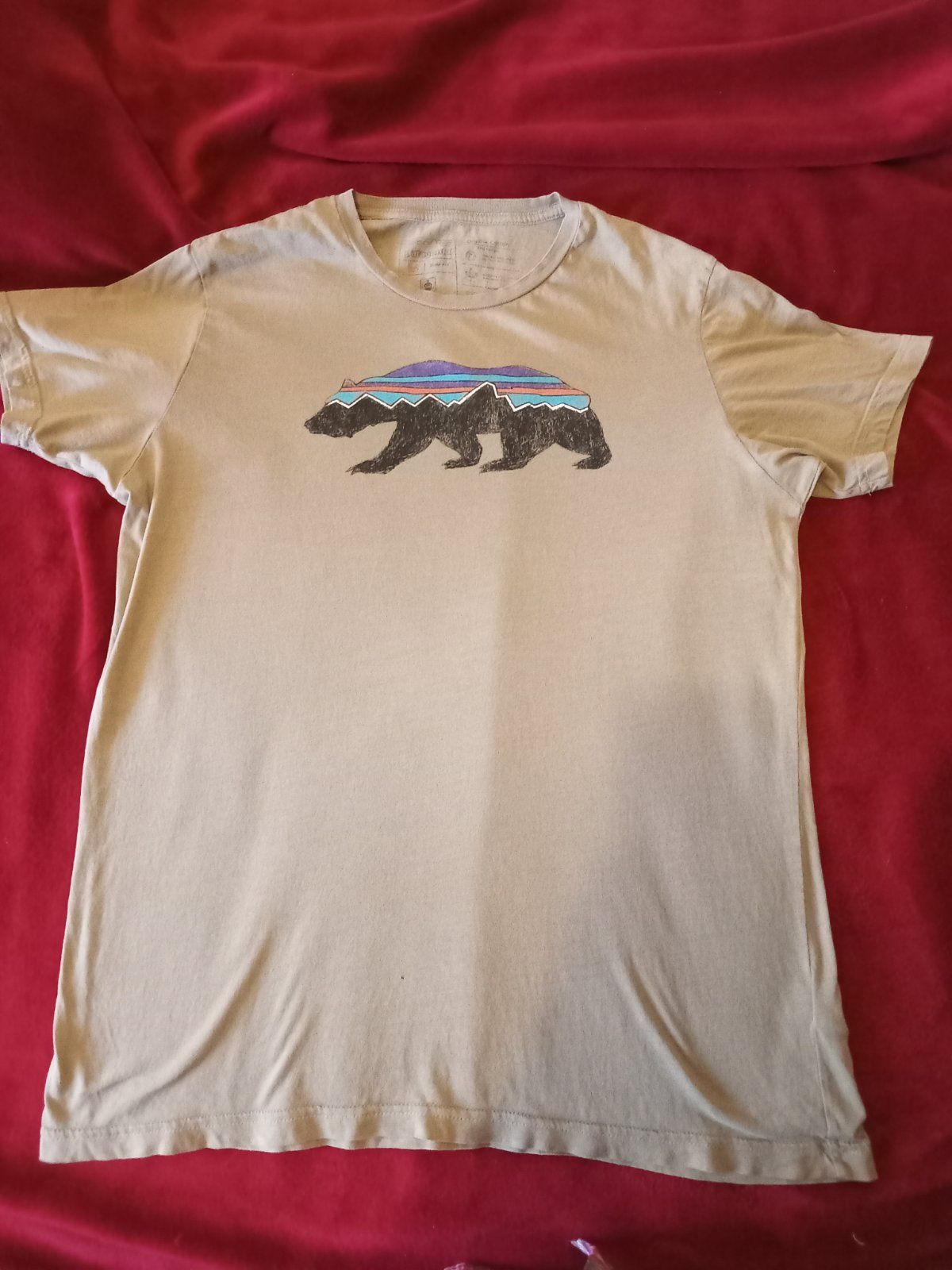 Patagonia футболка мужская
