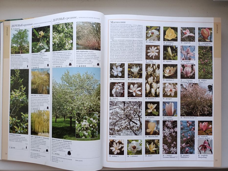 Ваш цветущий сад