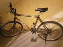 Rower univega alpina