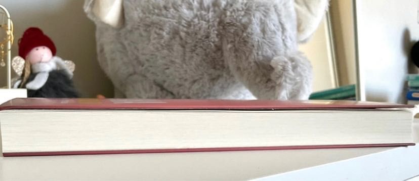 Livro “ A Inquilina” de Freida McFadden