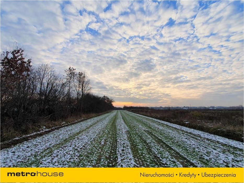 Ziemia Parznice koło Radomia