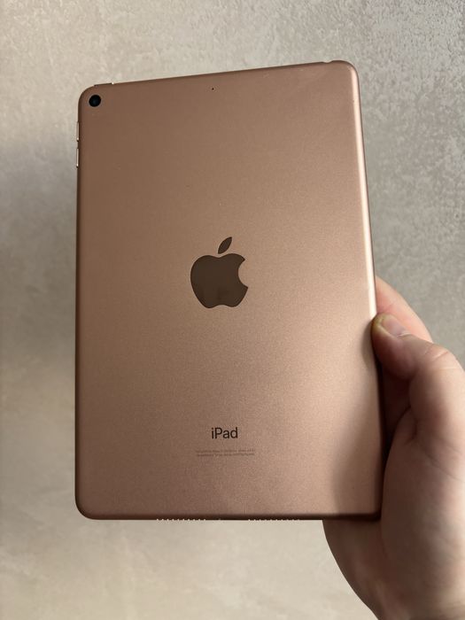 IPad Mini 5 256 Gb Rose Gold