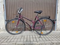 Rower damski Herkules