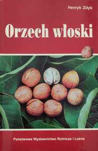 Orzech włoski Henryk Zdyb