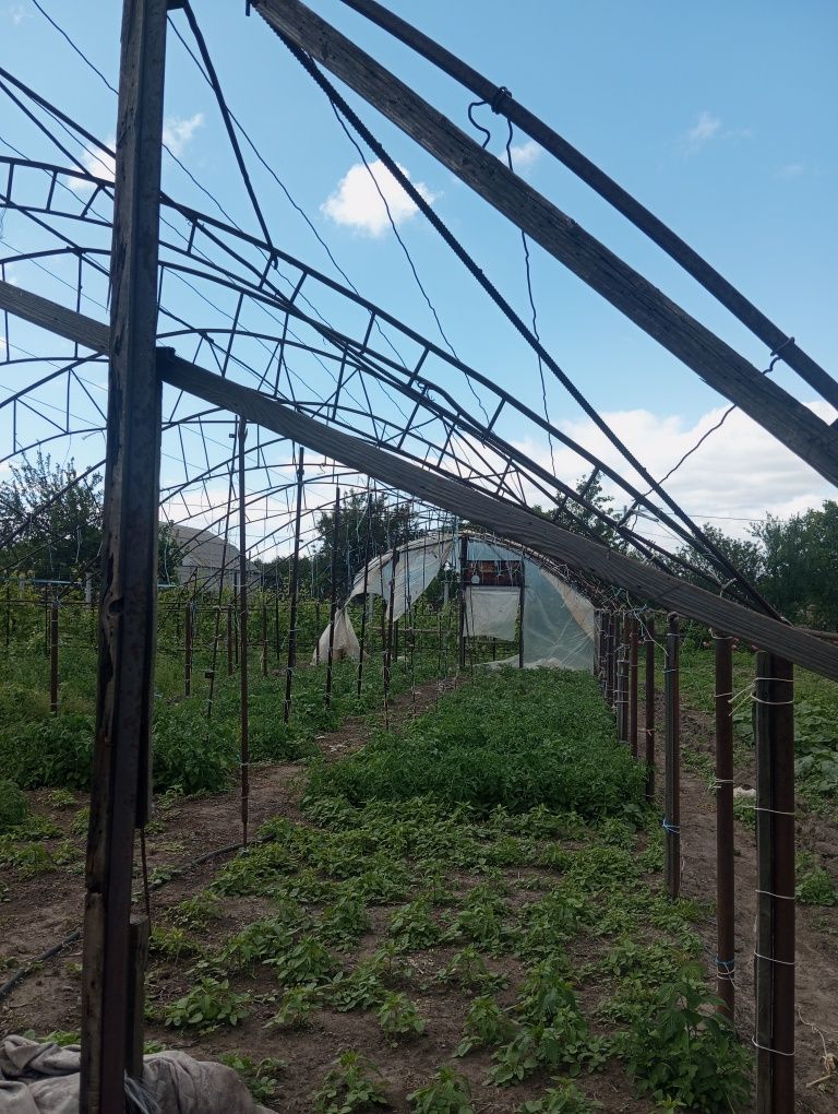 Продам теплицу срочно