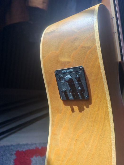 Tanglewood TW 11 D OL Winterleaf