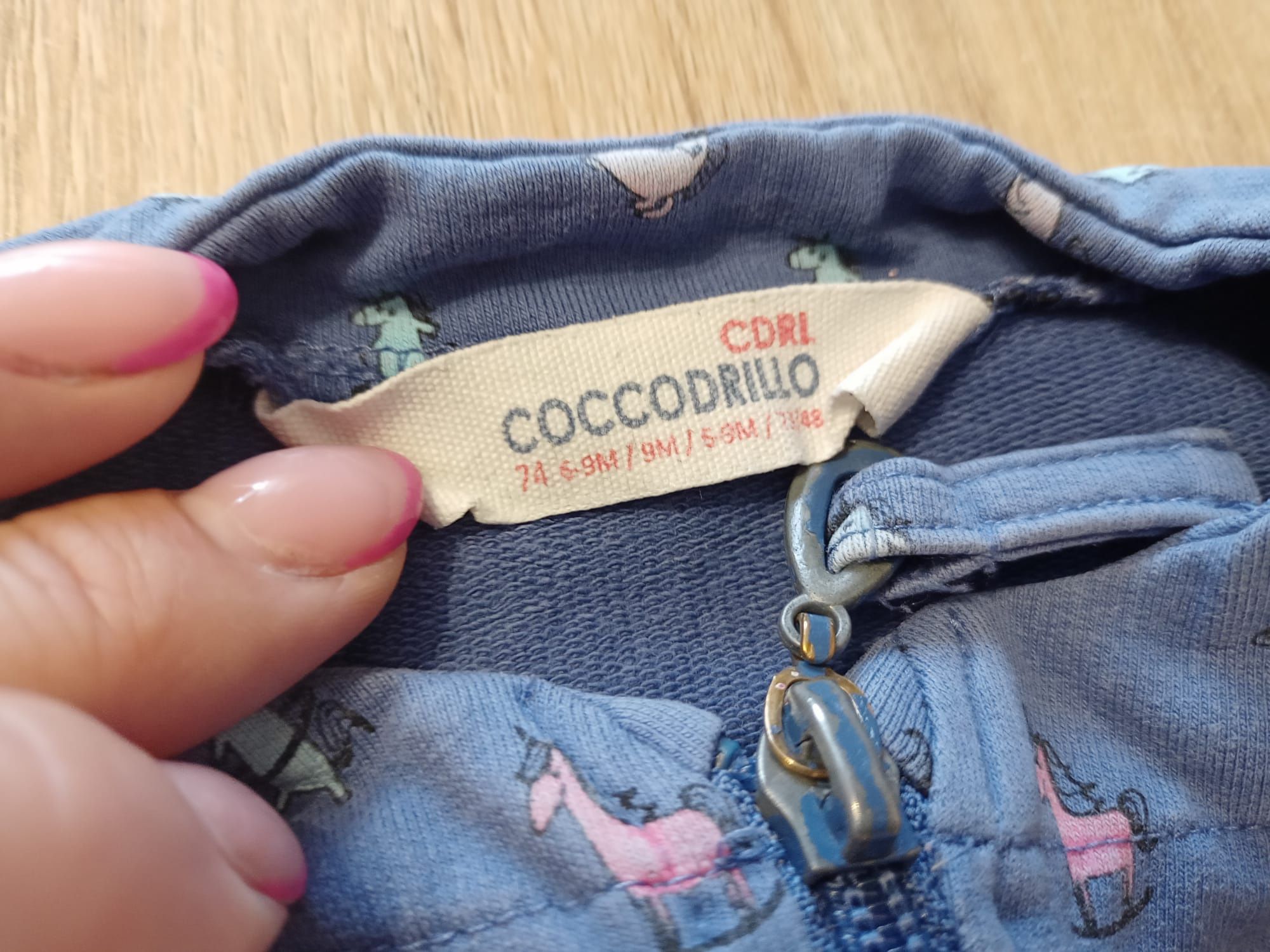 Dres Coccodrillo dla dziewczynki rozmiar 74