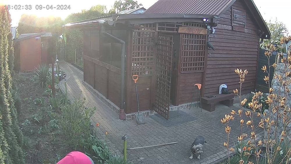 Kamera solarna 3G/4G LTE na karte sim i karta pamięci