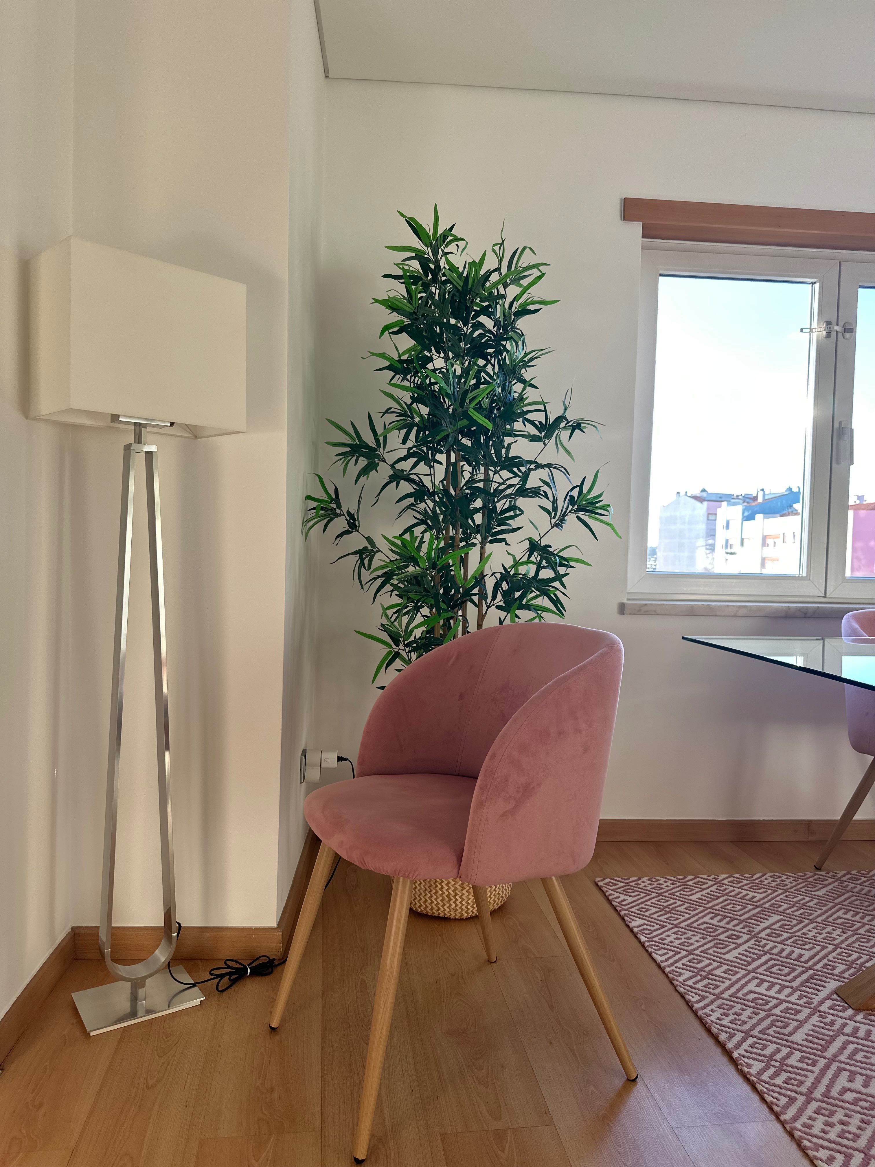 Cadeira de Sala – Rosa Velho, Veludo, Elegante