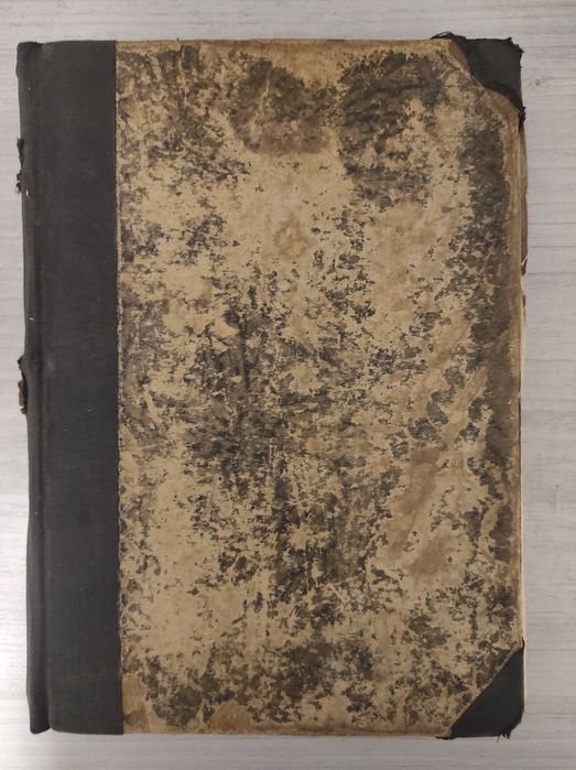 Rauber's Lehrbuch der Anatomie des Medschen, Abteilung 3