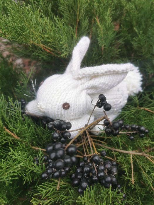 Білосніжний зайка заяць