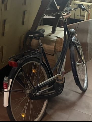 Bicicleta marca premium Holland muito estimada